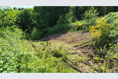19538 Tl Old Rainier Rd, Rainier, OR 97048 - Photo 7