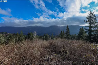 562 Woodard Creek Rd, Stevenson, WA 98648 - Photo 11