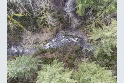 168 Yale Landing Rd, Cougar, WA 98616 - Photo 39