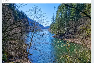 168 Yale Landing Rd, Cougar, WA 98616 - Photo 45