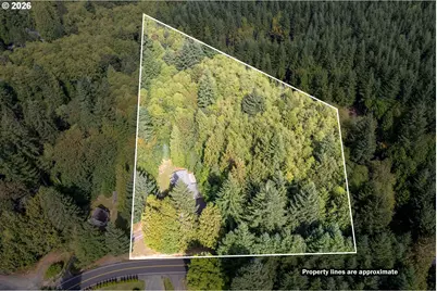 125 Eufaula Heights Rd, Longview, WA 98632 - Photo 3