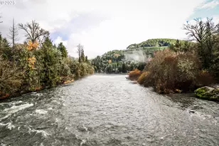 41925 Deerhorn Rd, Springfield, OR 97478 - Photo 47