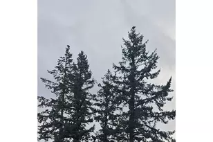 830 SE Darrow Rd, Estacada, OR 97023 - Photo 39