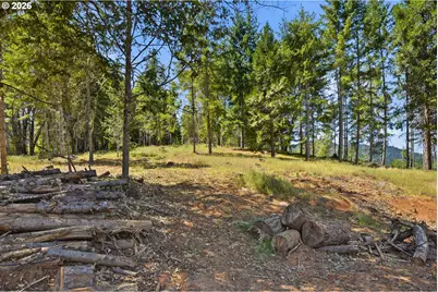 1060 Murdock Dr, Oakland, OR 97462 - Photo 29
