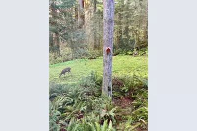 30606 NE Harrison Rd, Battle Ground, WA 98604 - Photo 31