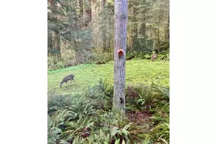 30606 NE Harrison Rd, Battle Ground, WA 98604 - Photo 31