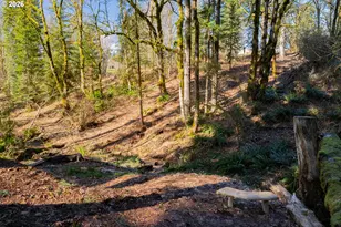 30606 NE Harrison Rd, Battle Ground, WA 98604 - Photo 29