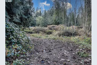 Coalman Rd, Sandy, OR 97055 - Photo 15