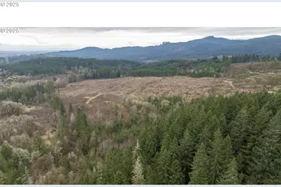 0 NW Panther Creek, Carlton, OR 97111 - Photo 5
