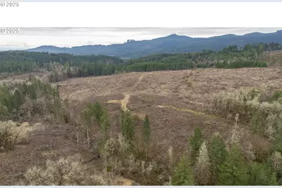 0 NW Panther Creek, Carlton, OR 97111 - Photo 17