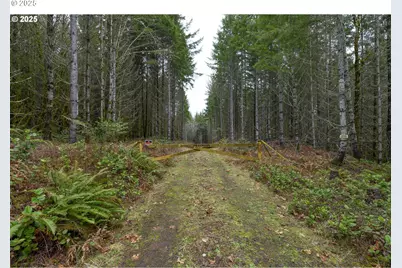 0 NW Panther Creek, Carlton, OR 97111 - Photo 21