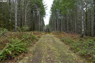 0 NW Panther Creek, Carlton, OR 97111 - Photo 21