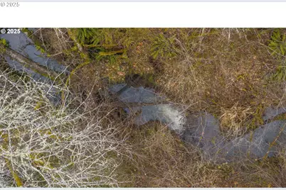 0 NW Panther Creek, Carlton, OR 97111 - Photo 15