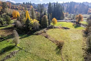 2104 Delameter Rd, Castle Rock, WA 98611 - Photo 7