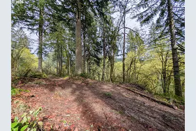 000 NE Finalburg Rd, La Center, WA 98629 - Photo 3