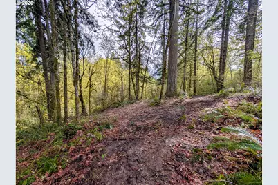 000 NE Finalburg Rd, La Center, WA 98629 - Photo 5
