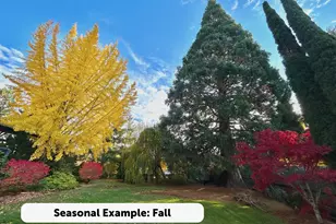 10050 NW Brady Ln, Portland, OR 97229 - Photo 35