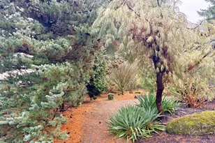 10050 NW Brady Ln, Portland, OR 97229 - Photo 37