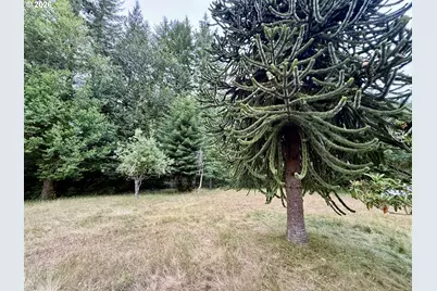 62209 Daniels Creek Rd, Coos Bay, OR 97420 - Photo 33