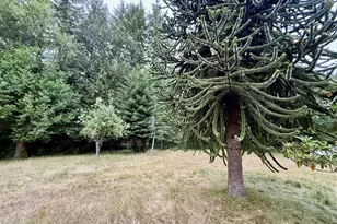 62209 Daniels Creek Rd, Coos Bay, OR 97420 - Photo 33