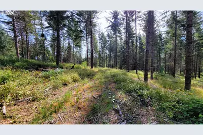 Northill Ranch Rd #108, Eugene, OR 97402 - Photo 13