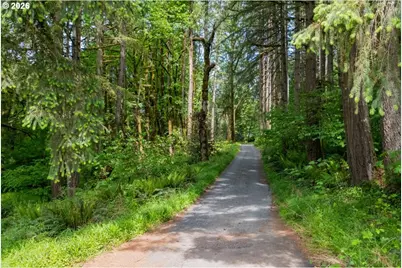 41178 Port Dr, Sweet Home, OR 97386 - Photo 41