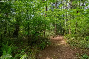 41178 Port Dr, Sweet Home, OR 97386 - Photo 39