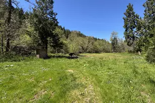 34953 Tiller Trail Hwy, Tiller, OR 97484 - Photo 35