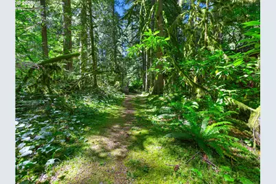 26811 E Road 15 Lot 5, Rhododendron, OR 97049 - Photo 41