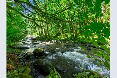 26811 E Road 15 Lot 5, Rhododendron, OR 97049 - Photo 47
