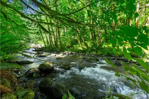 26811 E Rd 15 Lot 5, Rhododendron, OR 97049 - Photo 47