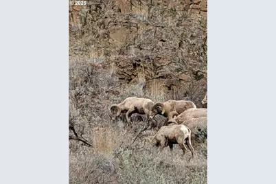 45469 Wall Creek Rd, Monument, OR 97864 - Photo 41