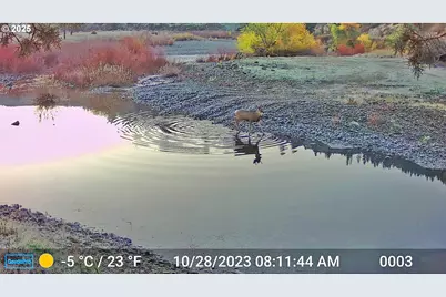 45469 Wall Creek Rd, Monument, OR 97864 - Photo 43