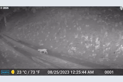 45469 Wall Creek Rd, Monument, OR 97864 - Photo 47