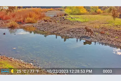 45469 Wall Creek Rd, Monument, OR 97864 - Photo 45