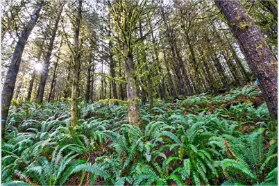 0 S Hwy 42, Coquille, OR 97423 - Photo 3