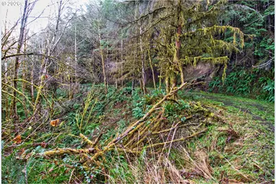 0 S Hwy 42, Coquille, OR 97423 - Photo 31