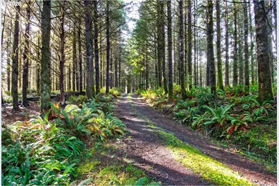 0 S Hwy 42, Coquille, OR 97423 - Photo 25