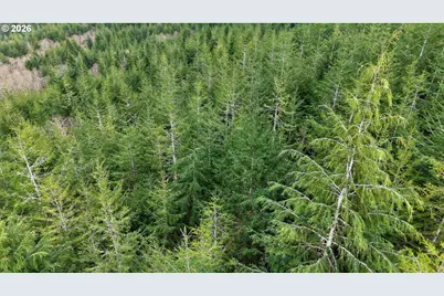0 S Hwy 42, Coquille, OR 97423 - Photo 13