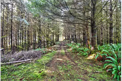 0 S Hwy 42, Coquille, OR 97423 - Photo 17