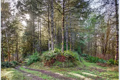 0 S Hwy 42, Coquille, OR 97423 - Photo 19