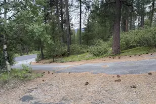 141245 Red Cone Dr, Crescent Lake, OR 97733 - Photo 43