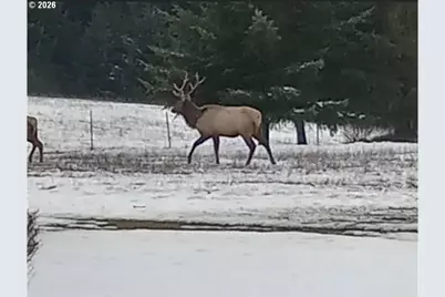 55240 McDonald Rd, Vernonia, OR 97064 - Photo 13