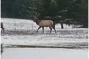 55240 McDonald Rd, Vernonia, OR 97064 - Photo 13