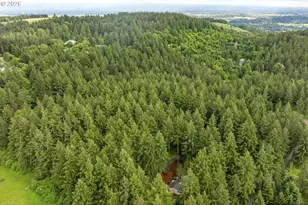32575 NE Poison Oak Ln, Newberg, OR 97132 - Photo 47