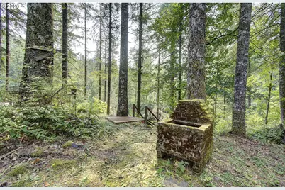 38013 NE Sunset Falls Rd, Yacolt, WA 98675 - Photo 25