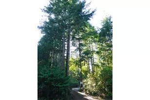 87444 Whistling Ln, Bandon, OR 97411 - Photo 37