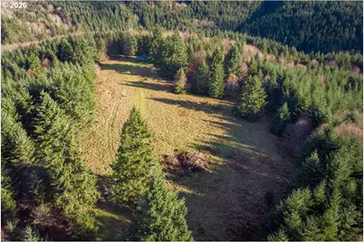 0 Bishop Creek Rd, Deer Island, OR 97054 - Photo 25