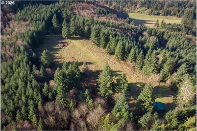 0 Bishop Creek Rd, Deer Island, OR 97054 - Photo 9