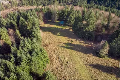 0 Bishop Creek Rd, Deer Island, OR 97054 - Photo 13